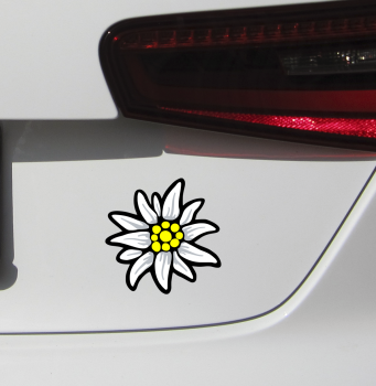 Preview: Aufkleber Edelweiß